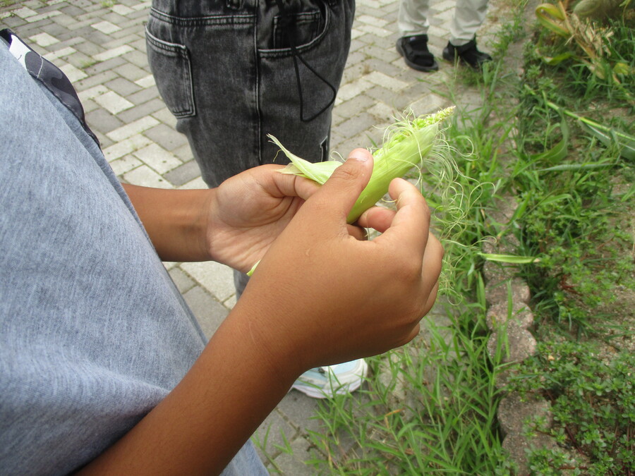 IMG_7901.JPG