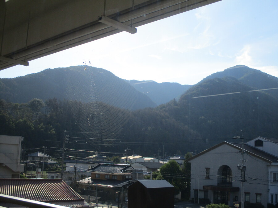 IMG_8014.JPG