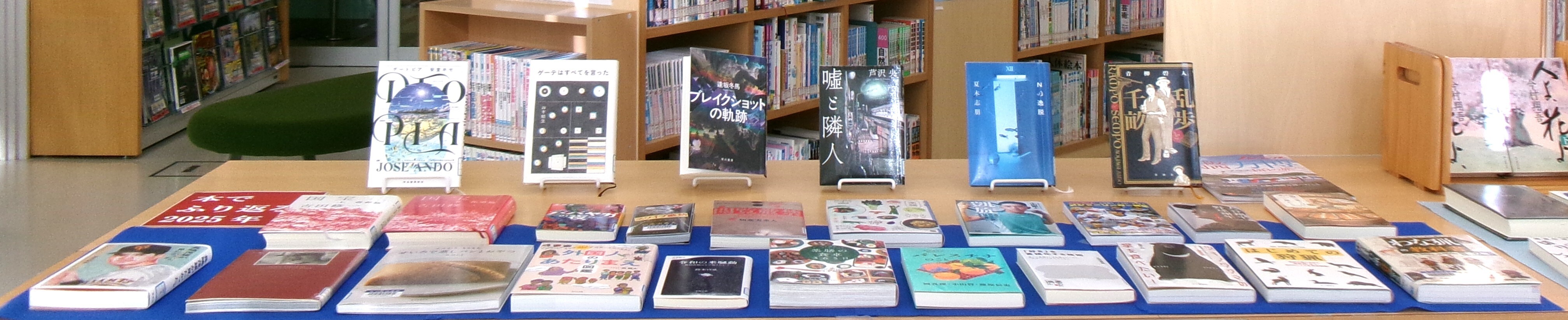 本が棚に並べてある