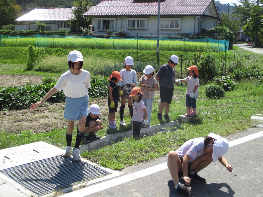 IMG_9937.JPG