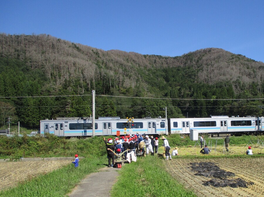 IMG_0088_2.jpg