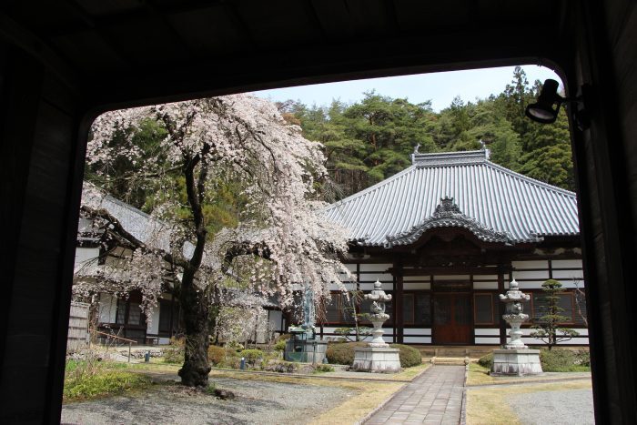 画像5