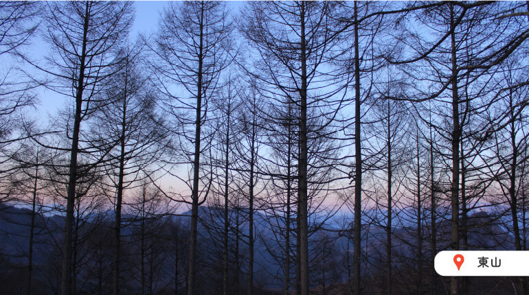 写真1