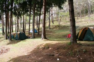 campsite1-300x200.jpg