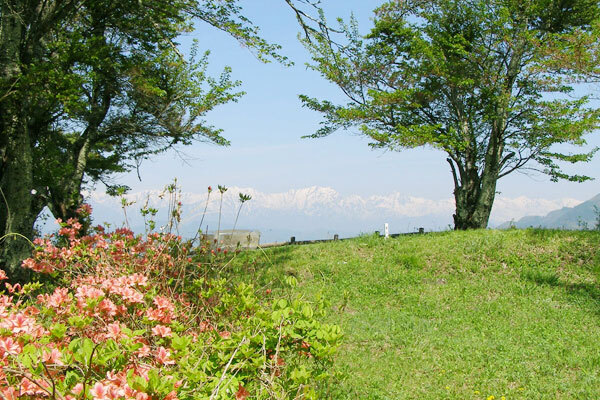 1050_aoyagijo01.jpg
