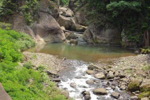 sashi2-300x200.jpg