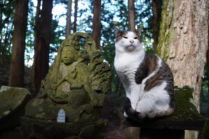写真4