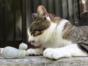 画像01
