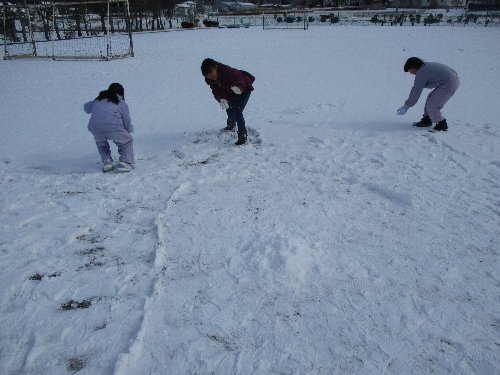 ２雪.jpg