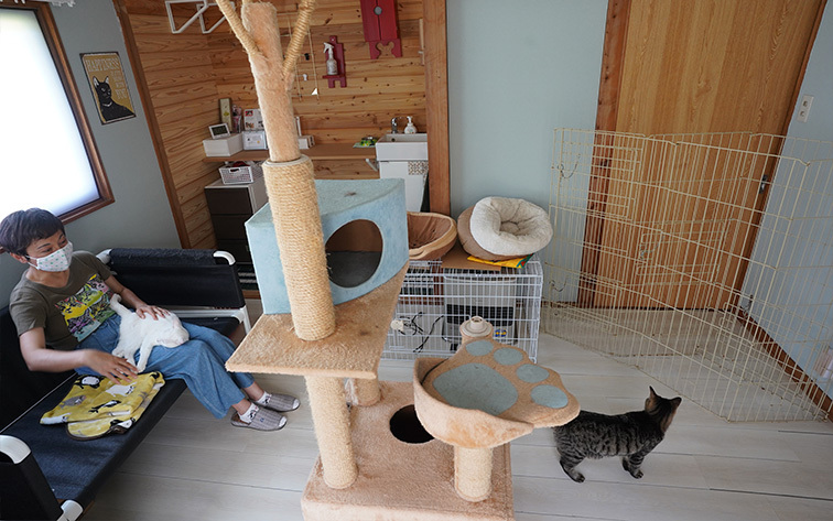 猫カフェ2