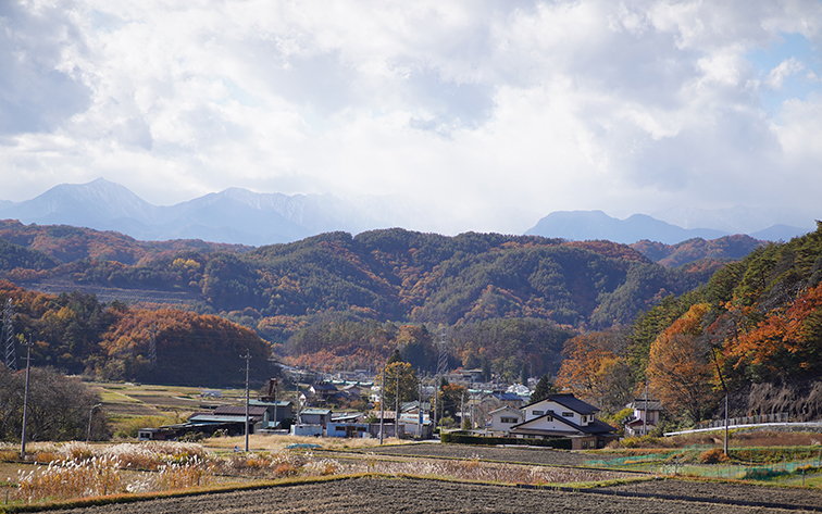 本城