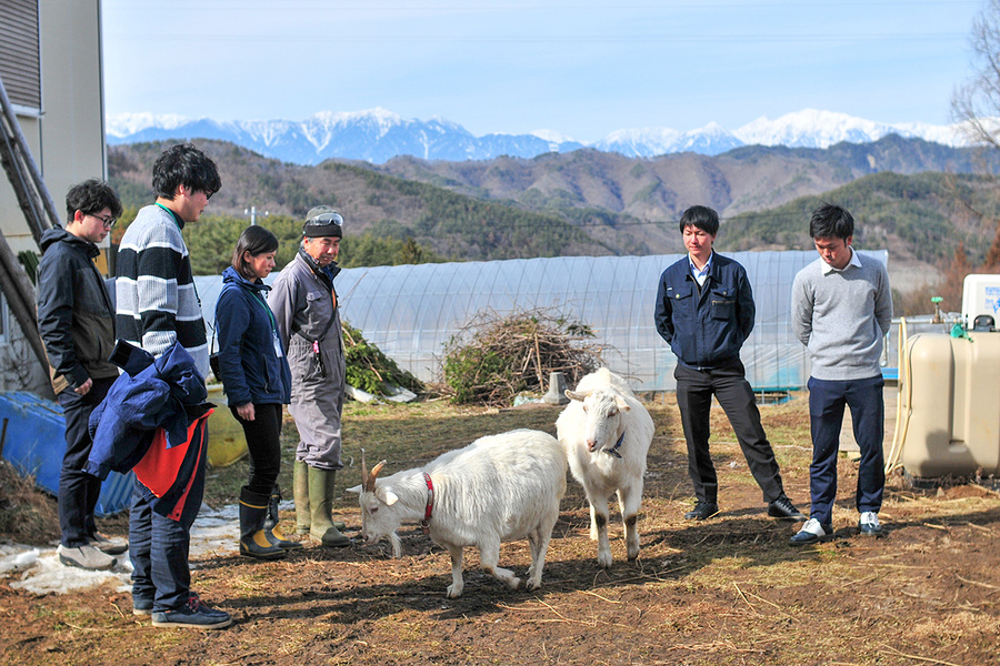 地域おこし協力隊
