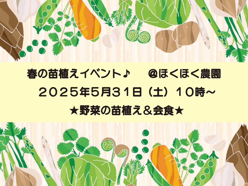 苗植え.jpg